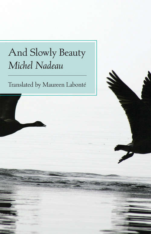 Book cover of And Slowly Beauty