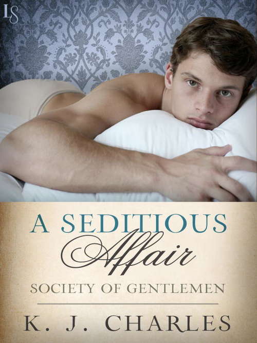 Book cover of A Seditious Affair