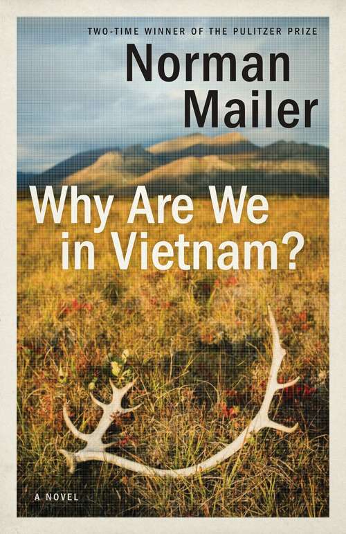 Why are We in Vietnam?: A Novel