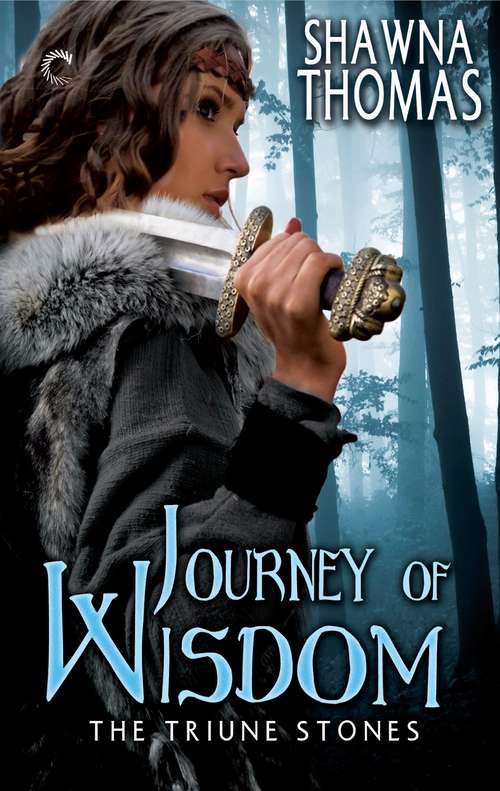 Book cover of Journey of Wisdom
