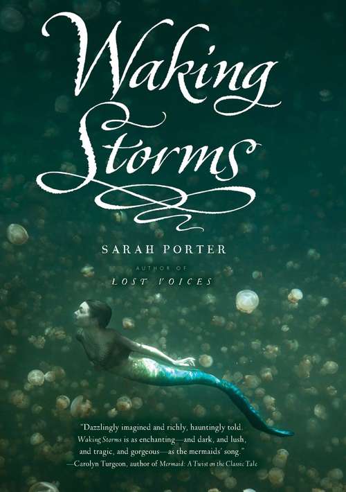 Book cover of Waking Storms