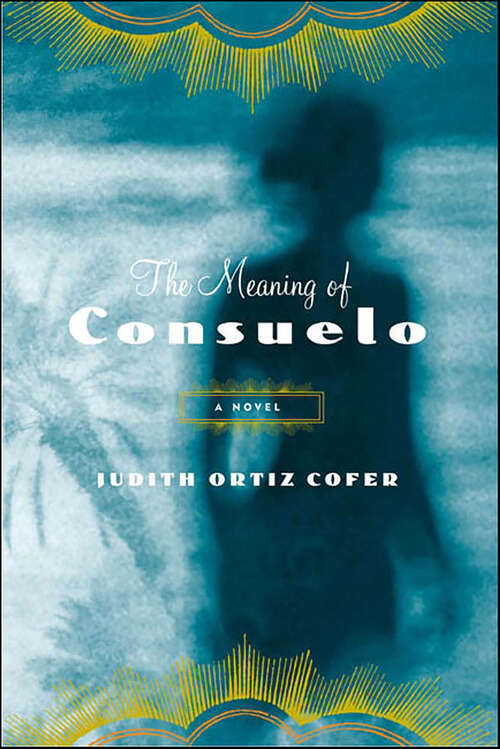 Book cover of The Meaning of Consuelo: A Novel