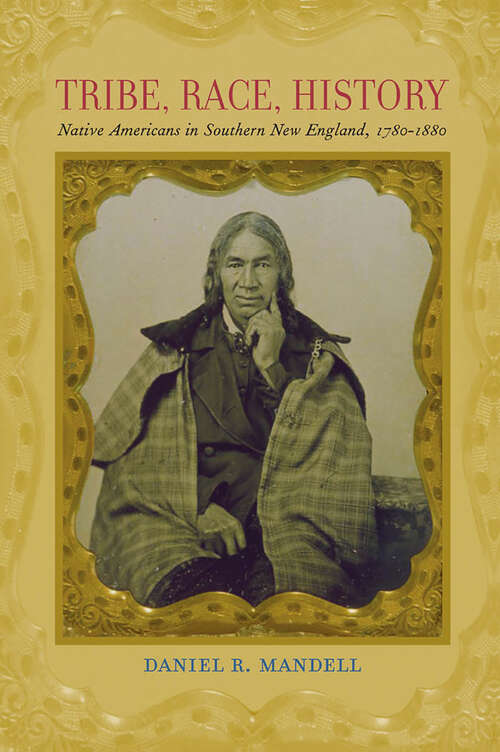 Tribe, Race, History: Native Americans in Southern New England, 1780–1880 (The Johns Hopkins University Studies in Historical and Political Science #125)