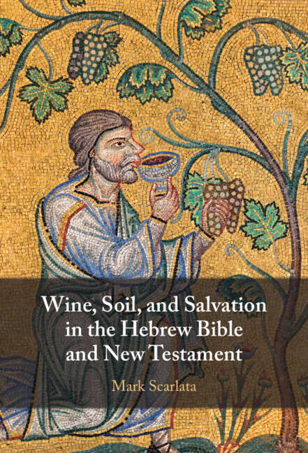 Book cover of Wine, Soil, and Salvation in the Hebrew Bible and New Testament