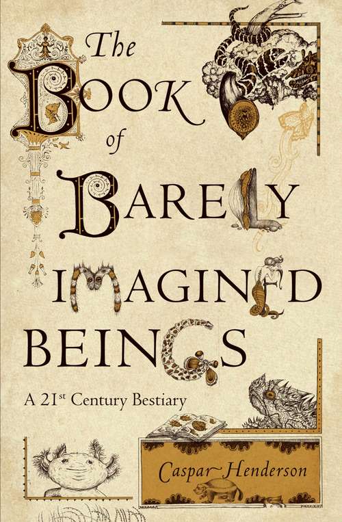Book cover of The Book of Barely Imagined Beings