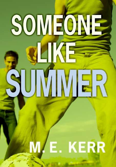 Book cover of Someone Like Summer
