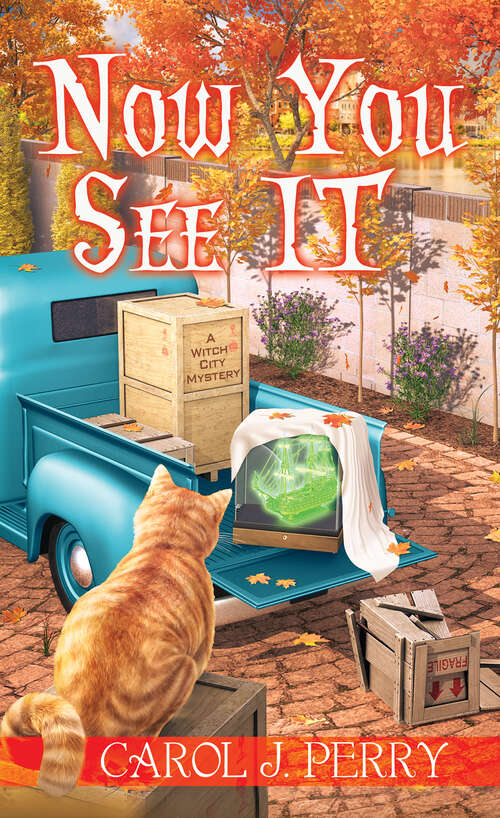 Book cover of Now You See It (A Witch City Mystery)