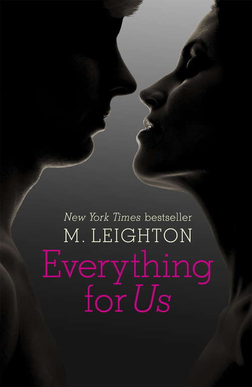 Book cover of Everything for Us (A\bad Boys Novel Ser. #3)