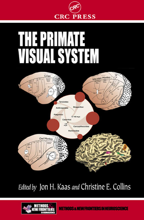 The Primate Visual System (Frontiers In Neuroscience Ser.)