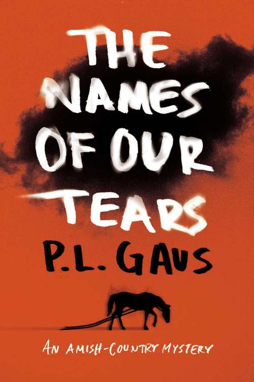 Book cover of The Names of Our Tears (Ohio Amish Mystery #8)