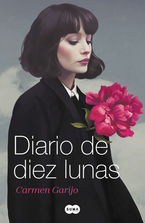 Book cover of Diario de diez lunas