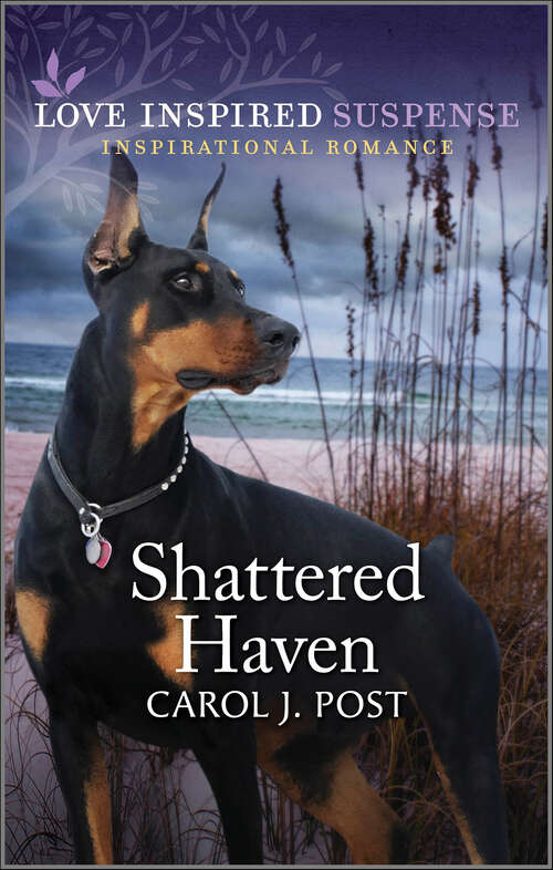 Book cover of Shattered Haven (Reissue)