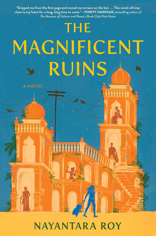 Book cover of The Magnificent Ruins