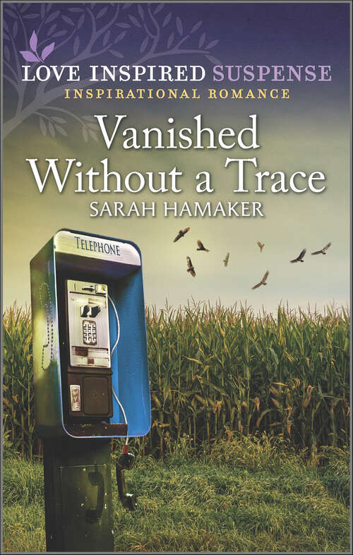 Book cover of Vanished Without a Trace (Original)