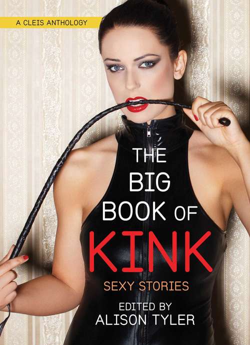 Book cover of The Big Book of Kink: Sexy Stories