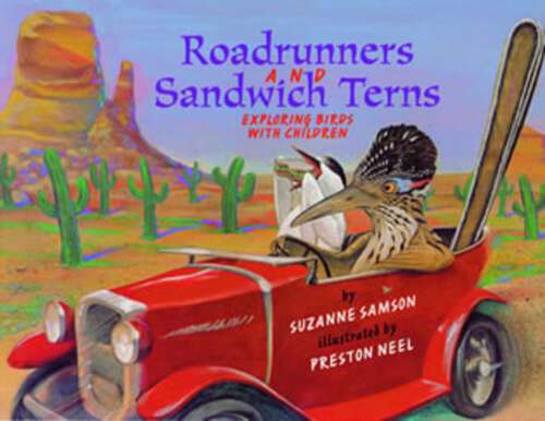 Book cover of Road Runners & Sandwich Terns: Exploring Birds with Children