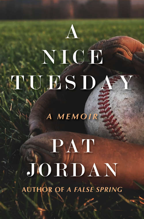 Book cover of A Nice Tuesday