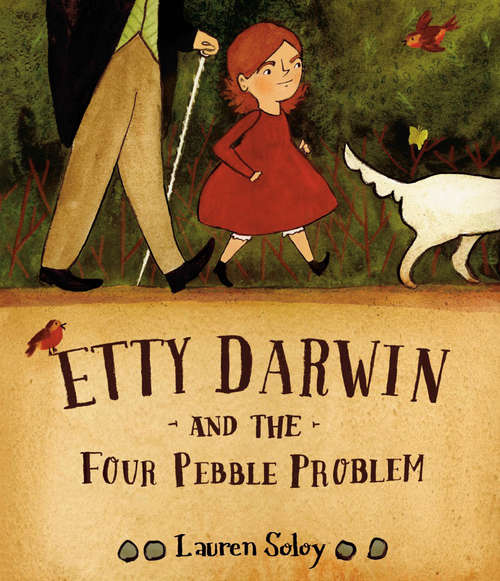 Book cover of Etty Darwin and the Four Pebble Problem
