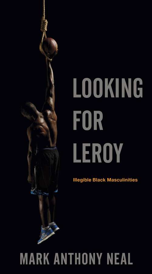 Book cover of Looking for Leroy
