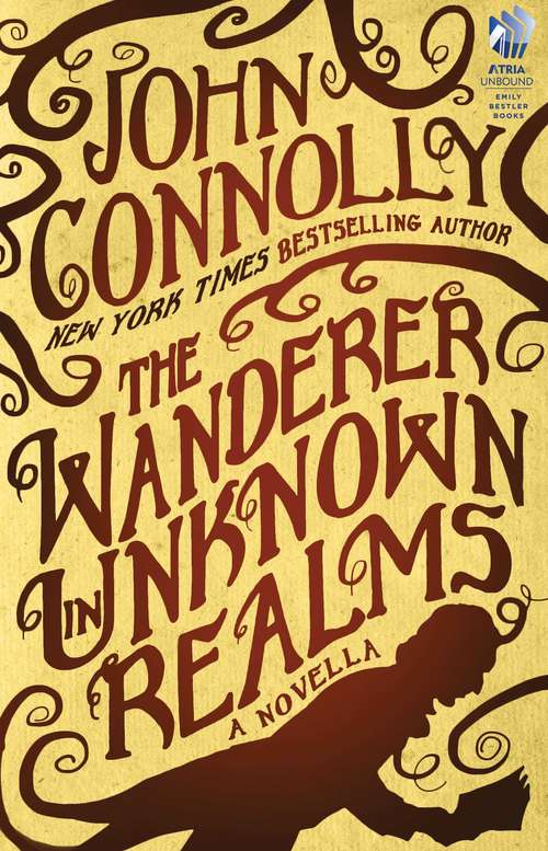 Book cover of The Wanderer in Unknown Realms