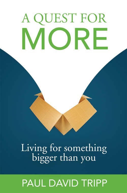 Book cover of A Quest for More: Living for Something Bigger than You
