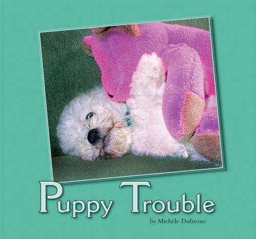 Book cover of Puppy Trouble
