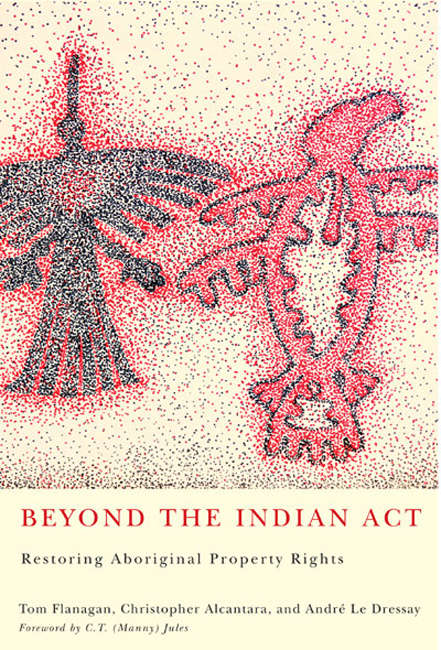Book cover of Beyond the Indian Act