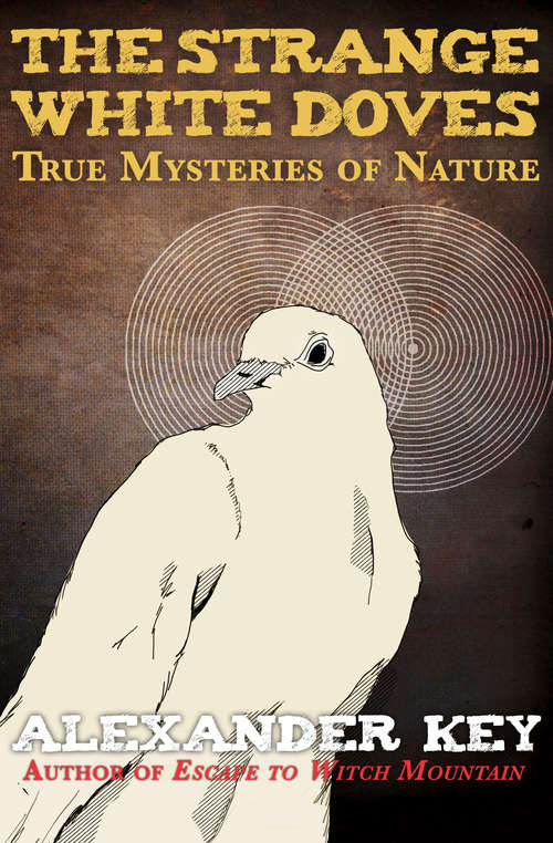 Book cover of The Strange White Doves