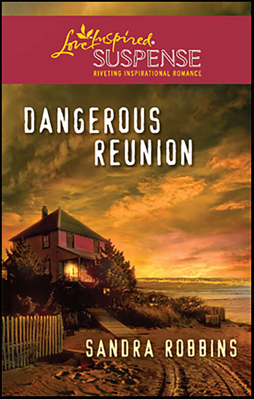 Book cover of Dangerous Reunion (The Ocracoke Series)