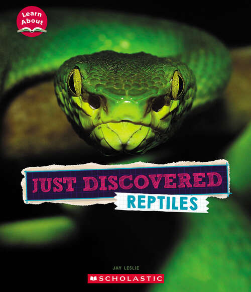 Book cover of Just Discovered Reptiles (Learn About)