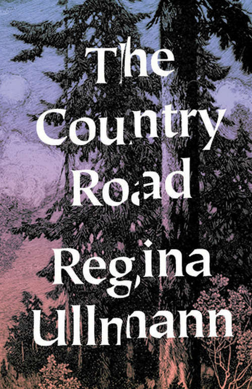 Book cover of The Country Road: Stories