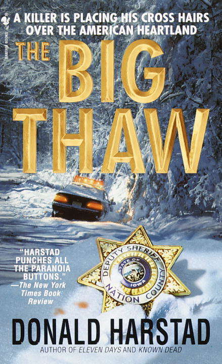 Book cover of The Big Thaw