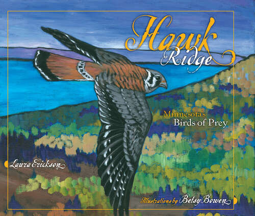 Book cover of Hawk Ridge: Minnesota's Birds of Prey