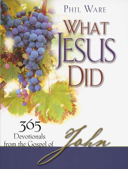 Book cover of What Jesus Did: 365 Devotionals from the Gospel of John
