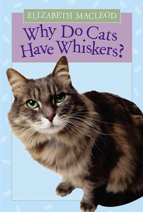 Book cover of Why Do Cats Have Whiskers?