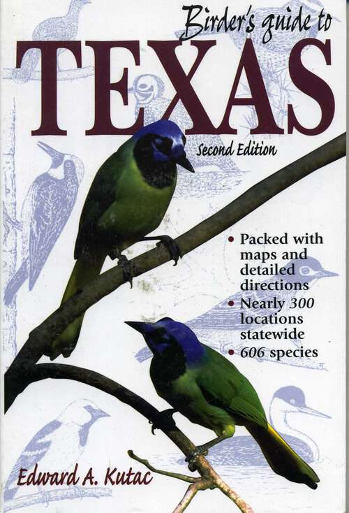 Book cover of Birder's Guide to Texas