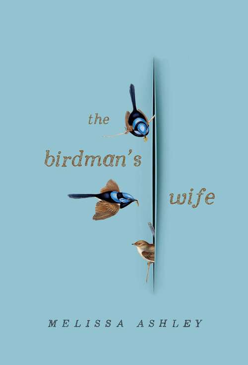 Book cover of Birdman's Wife