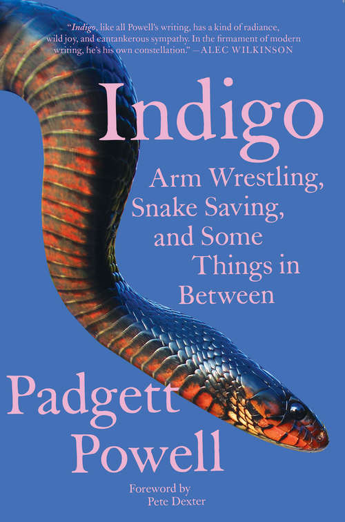 Indigo: Arm Wrestling, Snake Saving, and Some Things In Between