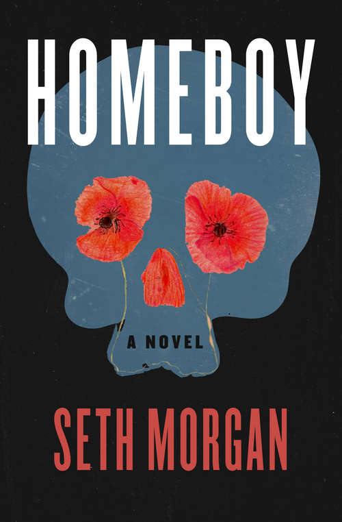 Book cover of Homeboy