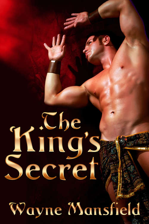 Book cover of The King's Secret (The King's Consort #3)