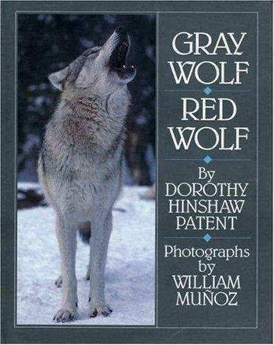 Book cover of Grey Wolf, Red Wolf