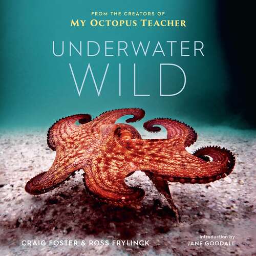 The Underwater Wild: My Octopus Teacher's Extraordinary World