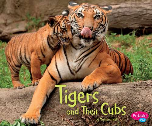 Book cover of Tigers and Their Cubs: A 4d Book (Animal Offspring Ser.)