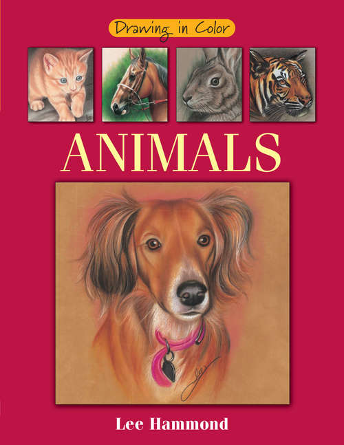 Book cover of Drawing in Color ANIMALS