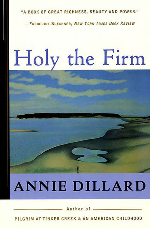 Book cover of Holy the Firm