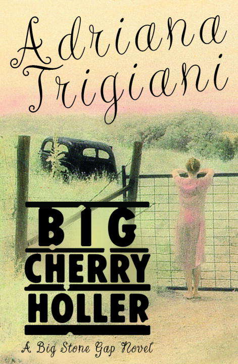 Big Cherry Holler: A Big Stone Gap Novel (Big Stone Gap #2)
