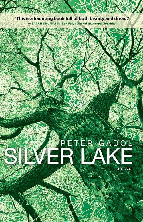 Book cover of Silver Lake