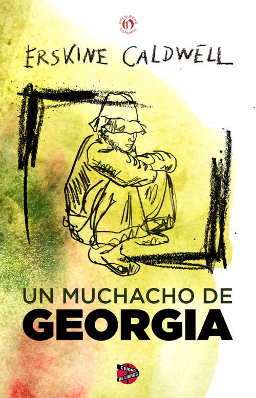 Book cover of Un muchacho de Georgia