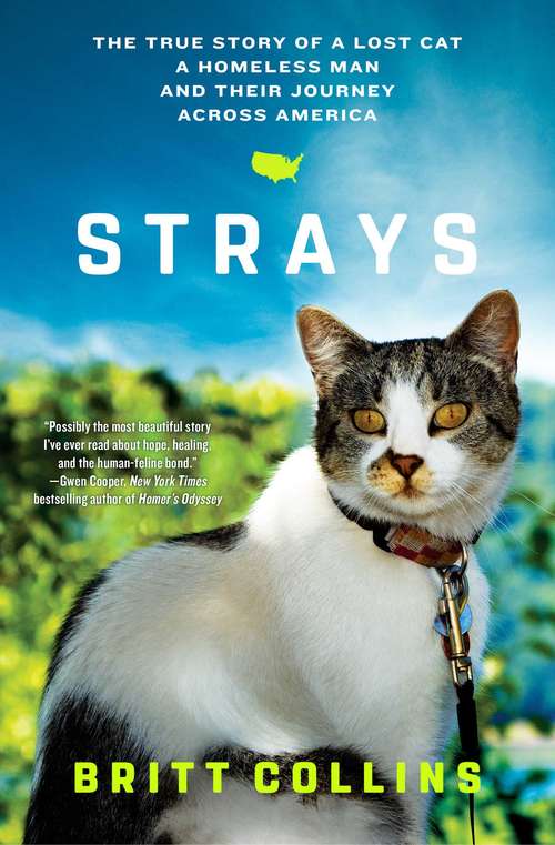 Book cover of Strays: A Lost Cat, a Homeless Man, and Their Journey Across America