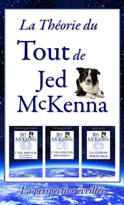 Book cover of La théorie du tout de Jed McKenna - La perspective éveillée